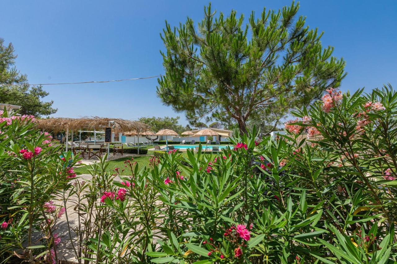 Gli Oleandri Villa โอตรันโต ภายนอก รูปภาพ